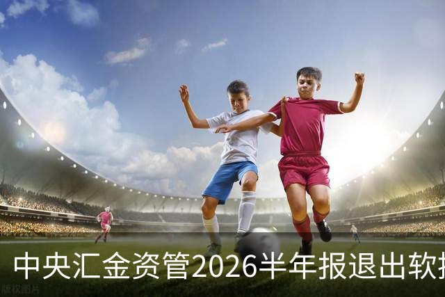 中央汇金资管2026半年报退出软控股份前十大股东名单