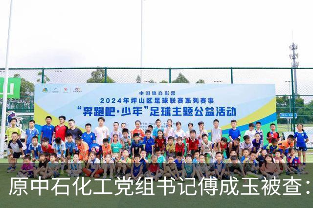 原中石化工党组书记傅成玉被查：退休不是平安着陆证，释放最强反腐信号