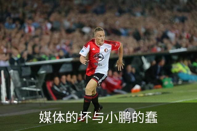 媒体的坏与小鹏的蠢