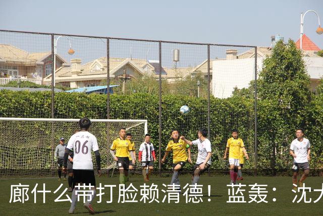 廊什么带打脸赖清德！蓝轰：沈大草包