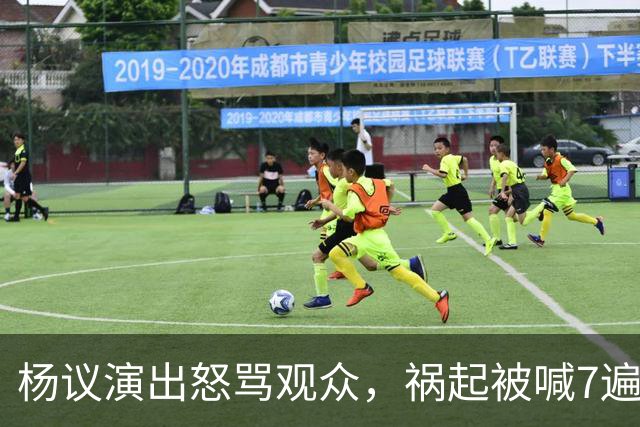 杨议演出怒骂观众，祸起被喊7遍“杨老五”，知情人曝内幕，当地文旅已介入