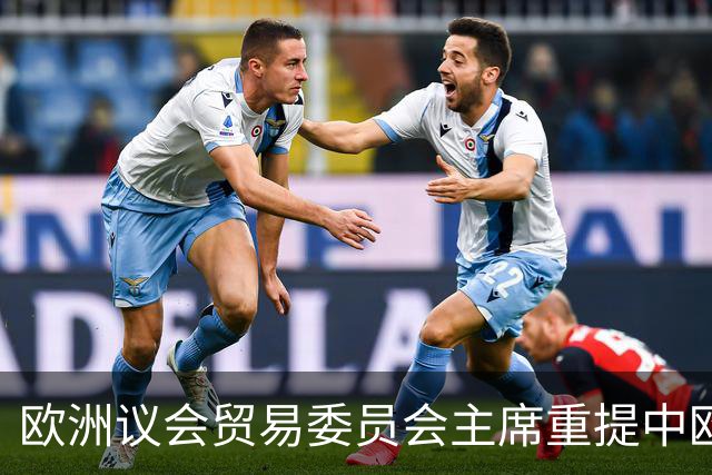 欧洲议会贸易委员会主席重提中欧贸易协定：我们需要一份更全面协议，有必要重温一下
